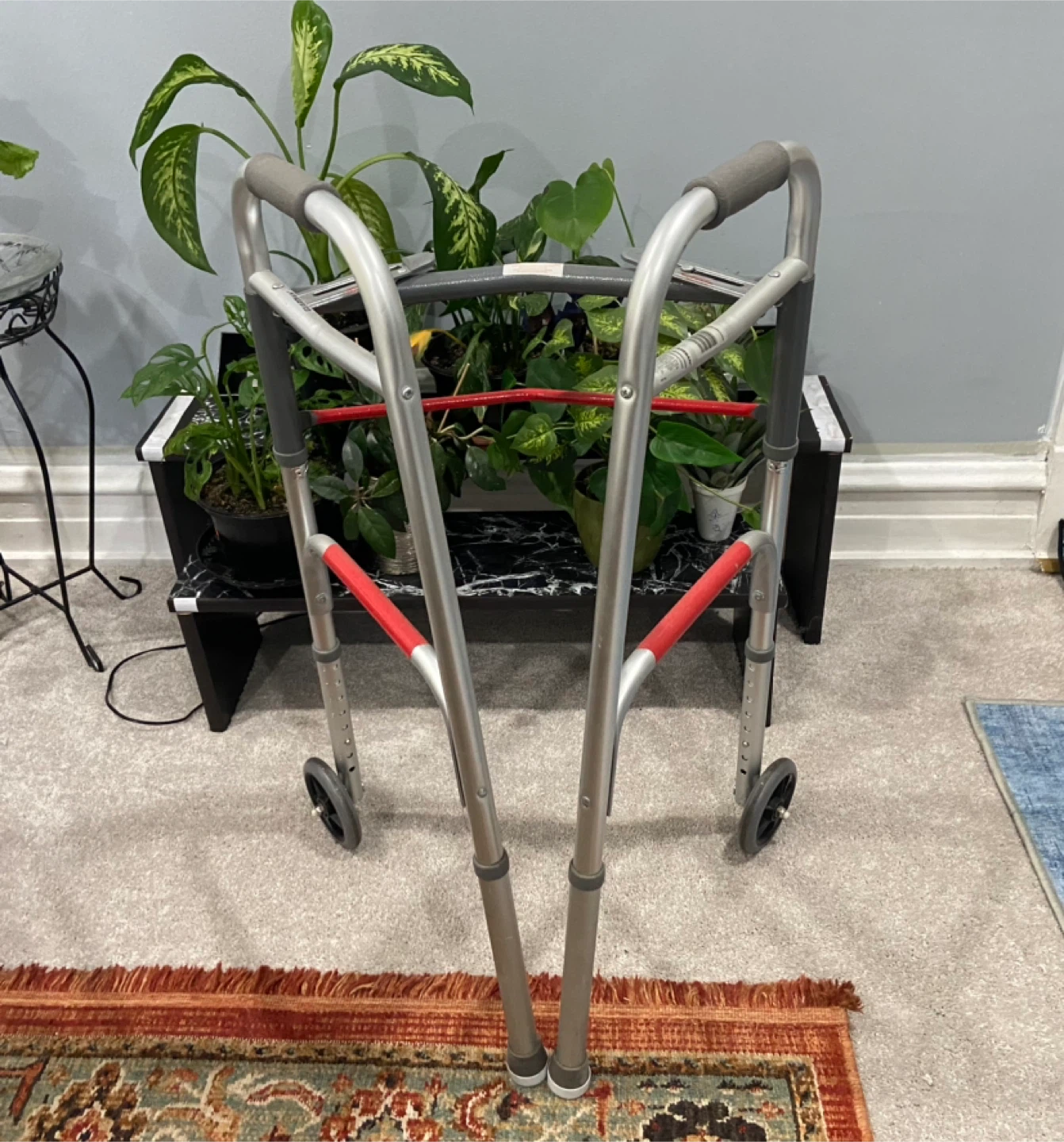 Guardian Walker with Wheels
