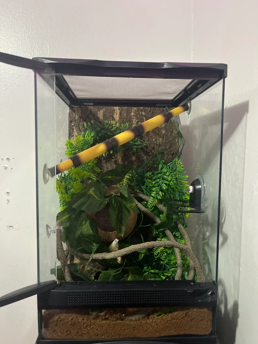 Reptile Enclosure Terrarium