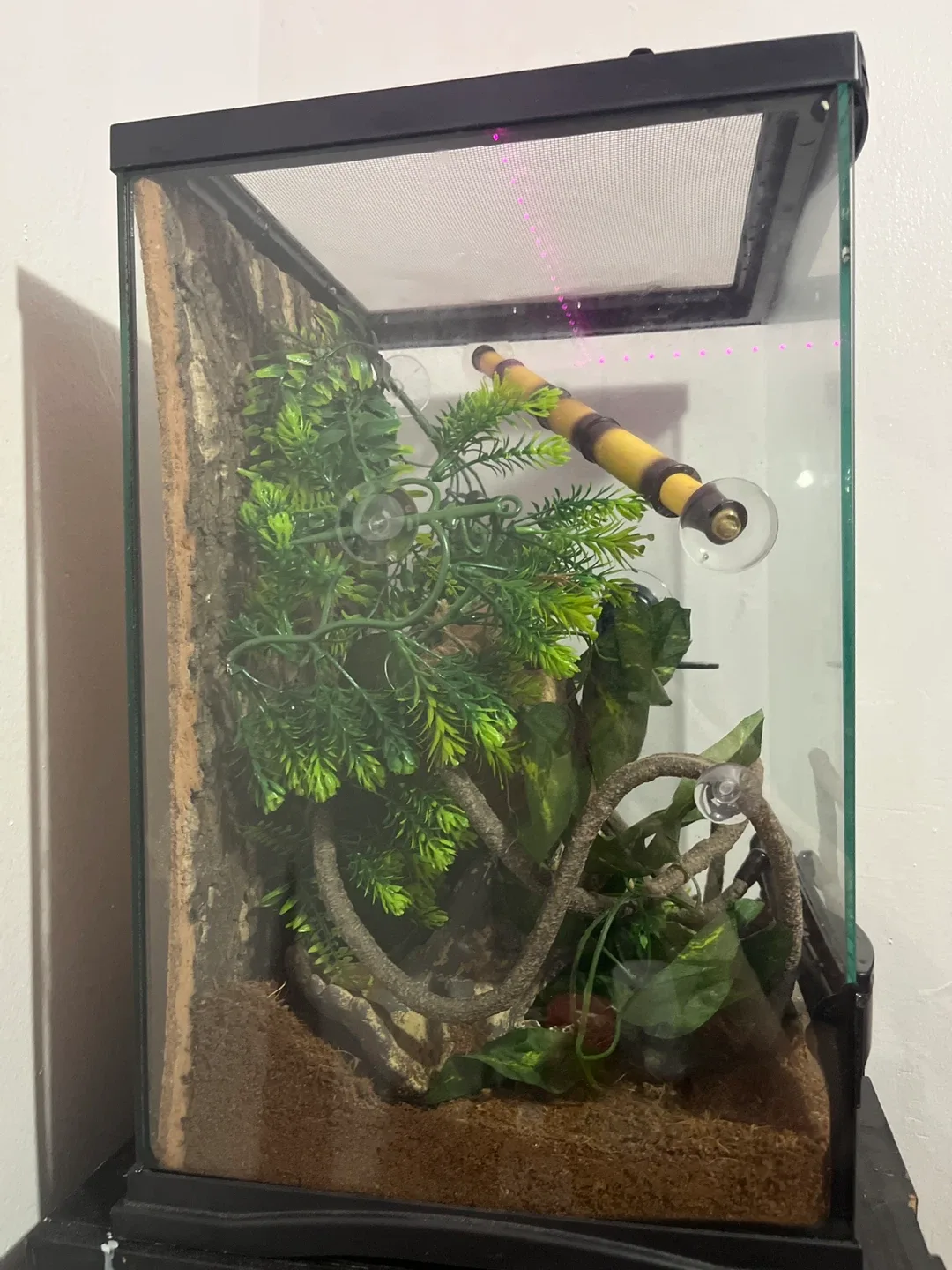 Reptile Enclosure Terrarium image indicator(3)