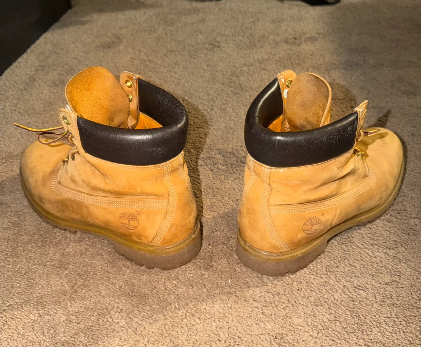 Timberland 6-Inch Premium Waterproof Boots image indicator(3)