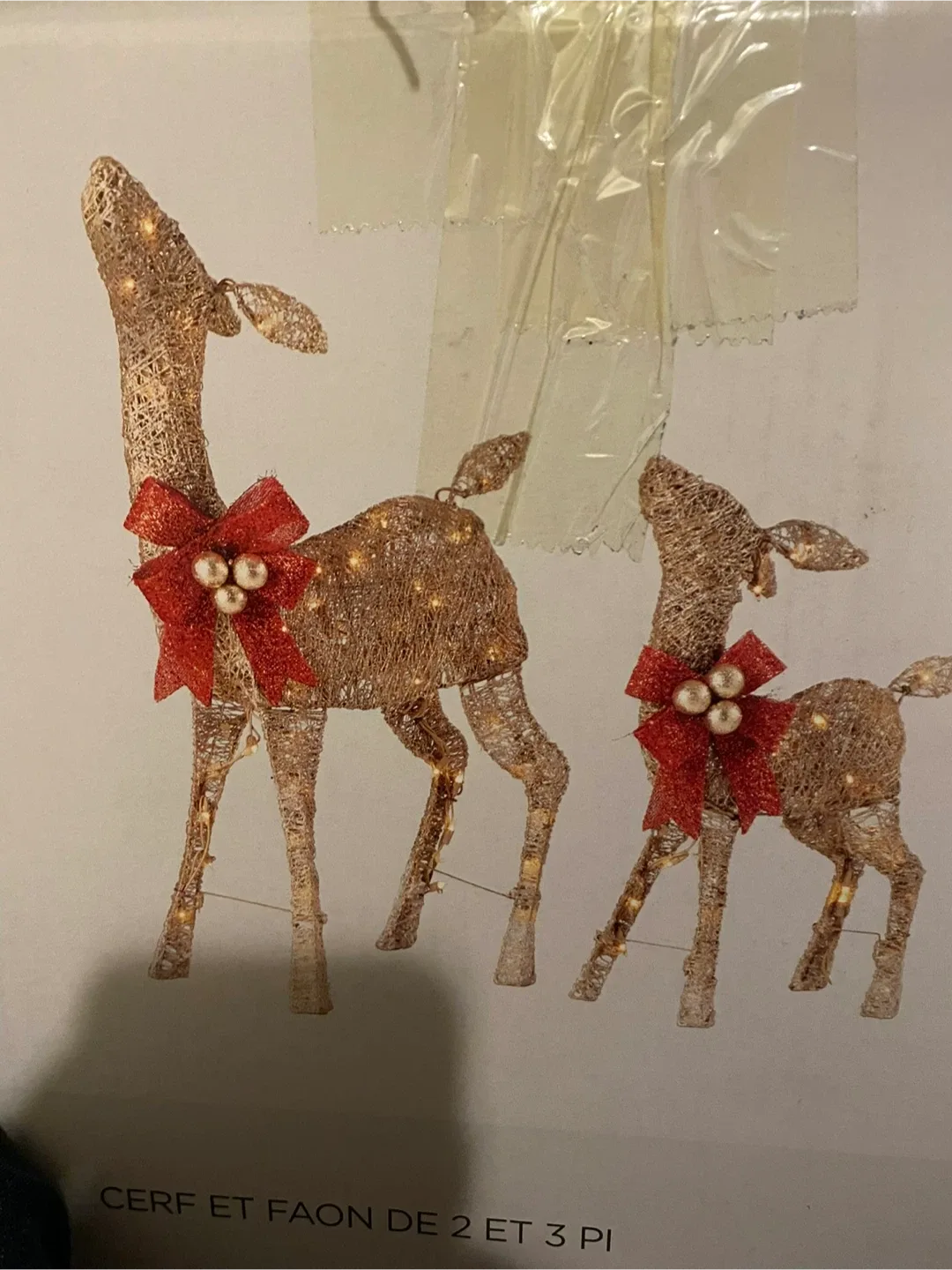 Canvas Canada Geese & Beaver Decor