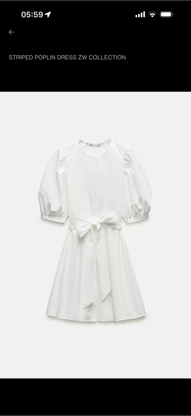 Zara Striped Poplin Dress ZW Collection - Size L