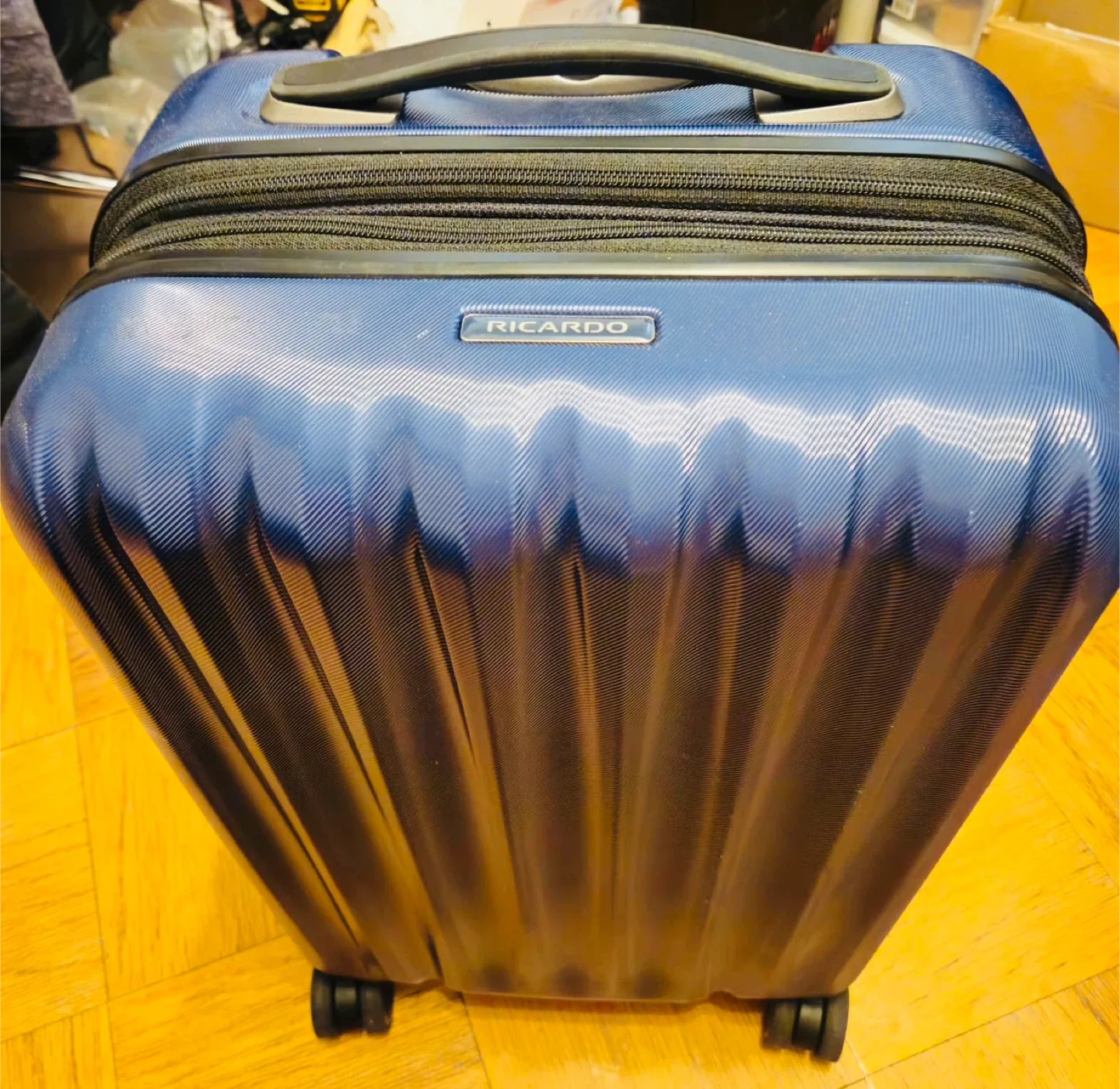 Ricardo Beverly Hills Blue Carry-On Suitcase