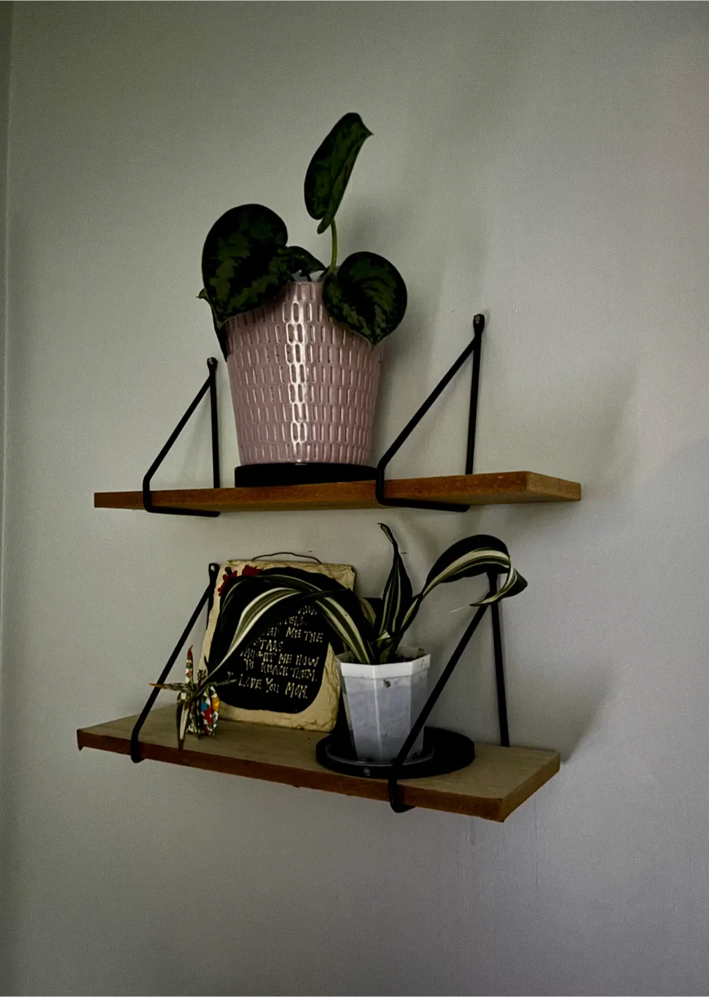 Small Shelves