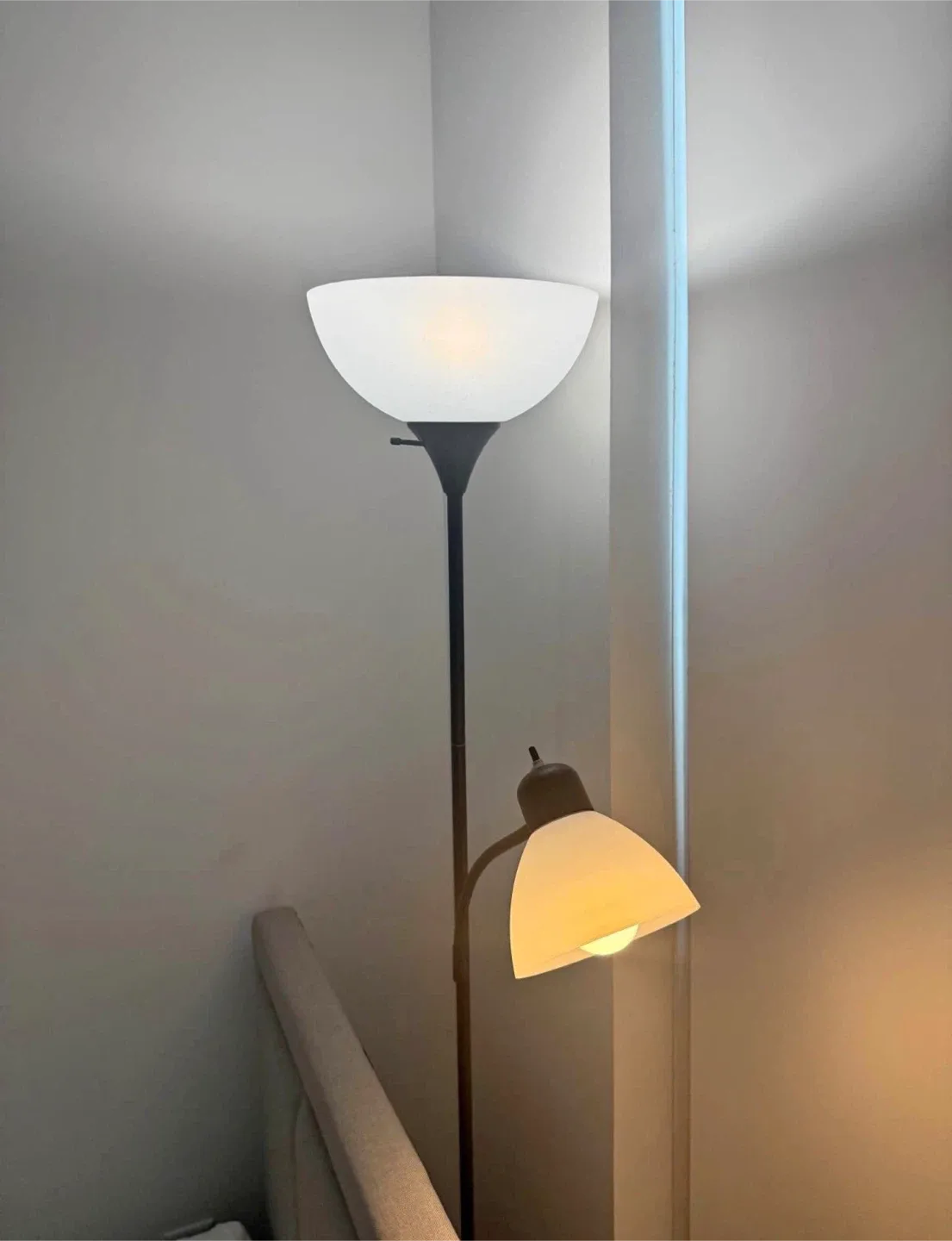 Black Floor Lamp with Reading Light and robotic cleaner image indicator(2)