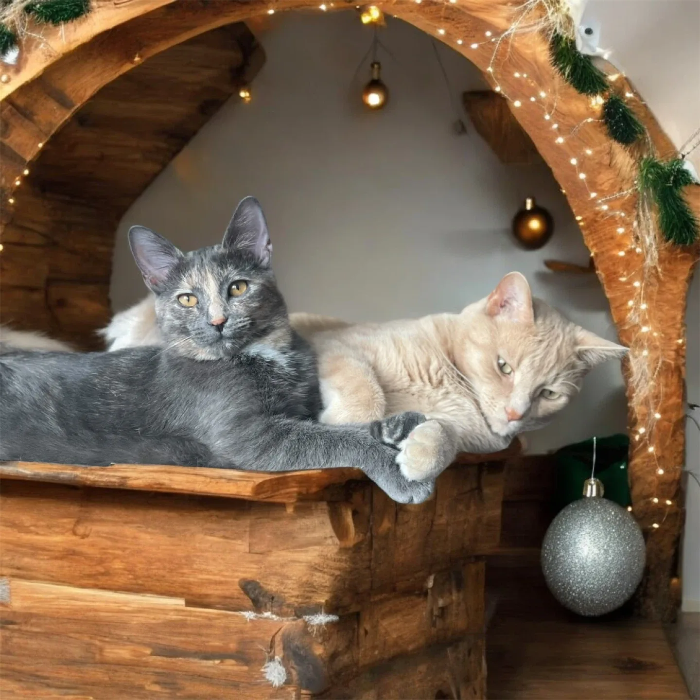 Custom AI Christmas image pet, cat, dog image indicator(9)