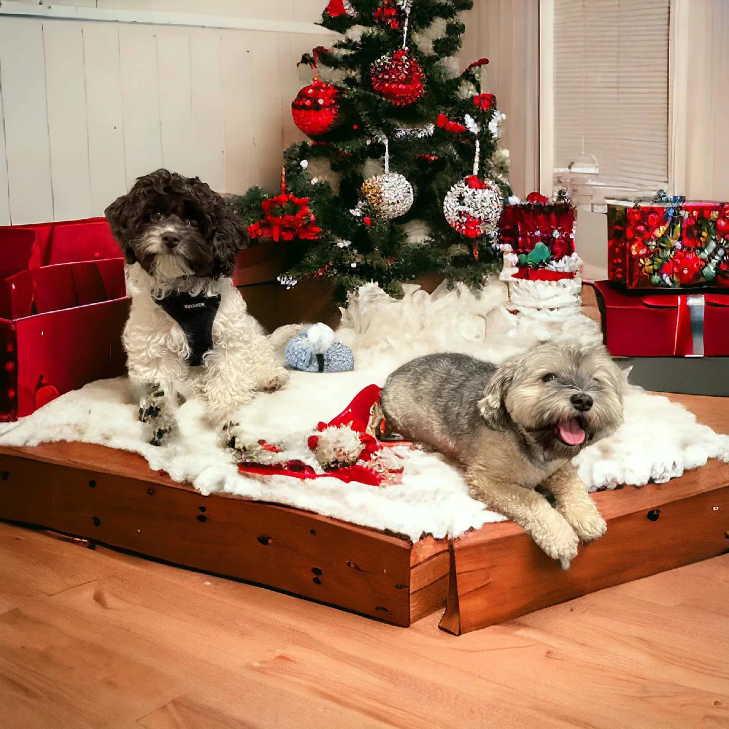 Custom AI Christmas image pet, cat, dog image indicator(7)