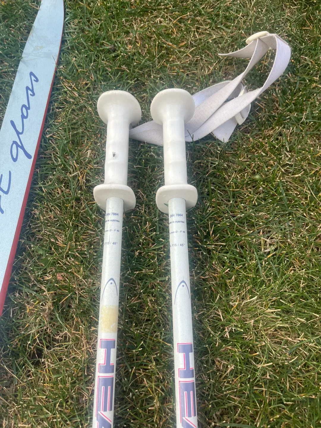 Fischer Sport Glass Skis & Head Ski Poles image indicator(10)