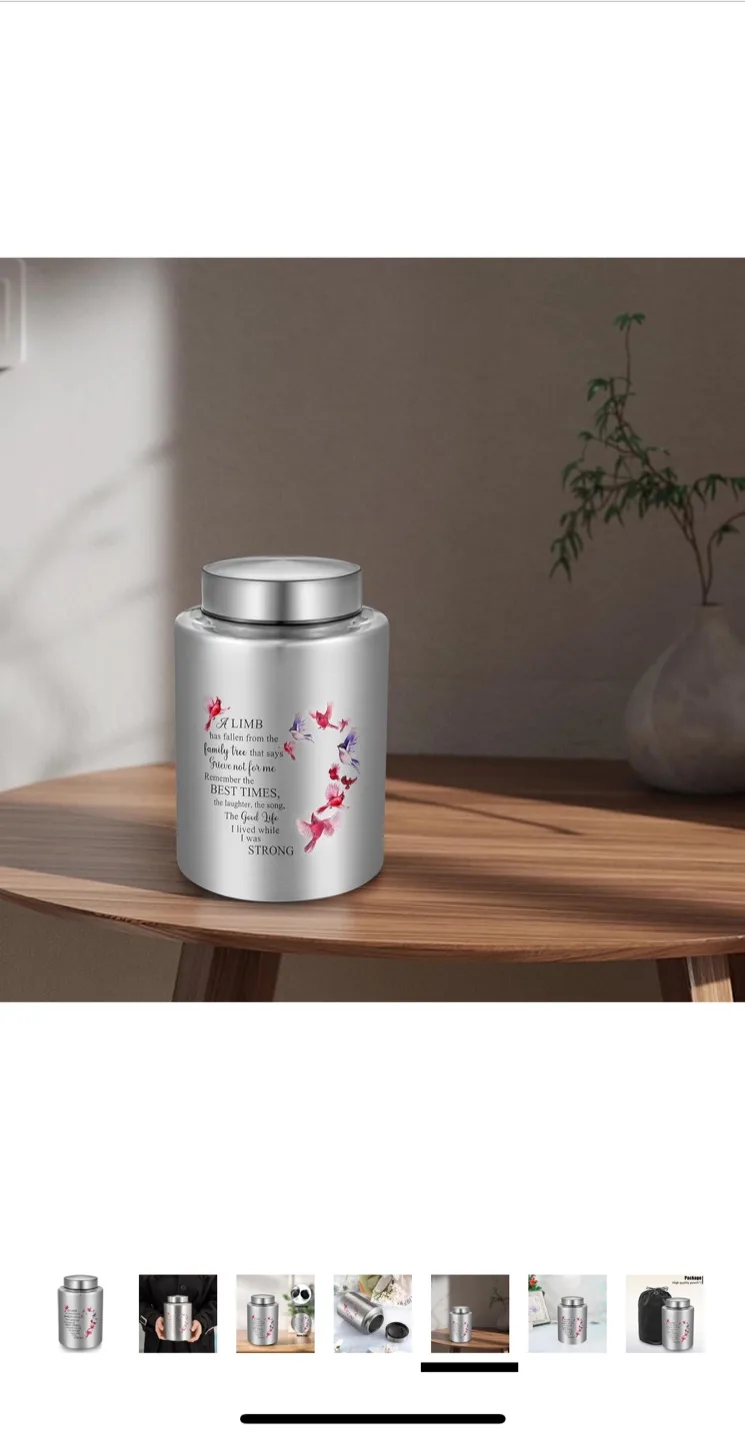 SOITIS Decorative Urn for Human Ashes - Silver image indicator(6)