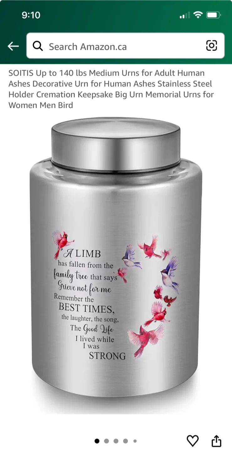 SOITIS Decorative Urn for Human Ashes - Silver