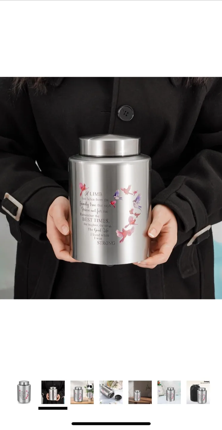 SOITIS Decorative Urn for Human Ashes - Silver image indicator(3)