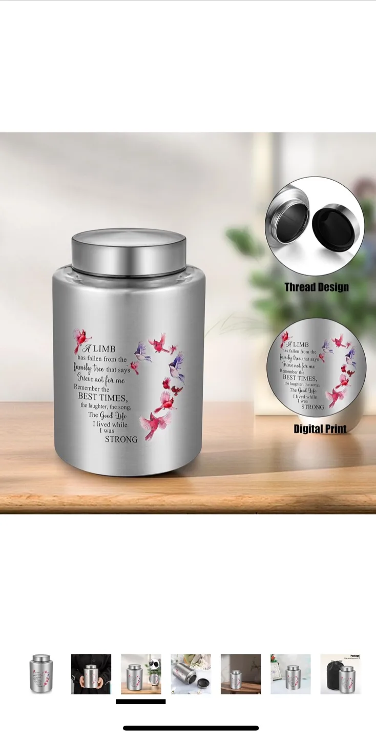 SOITIS Decorative Urn for Human Ashes - Silver image indicator(4)