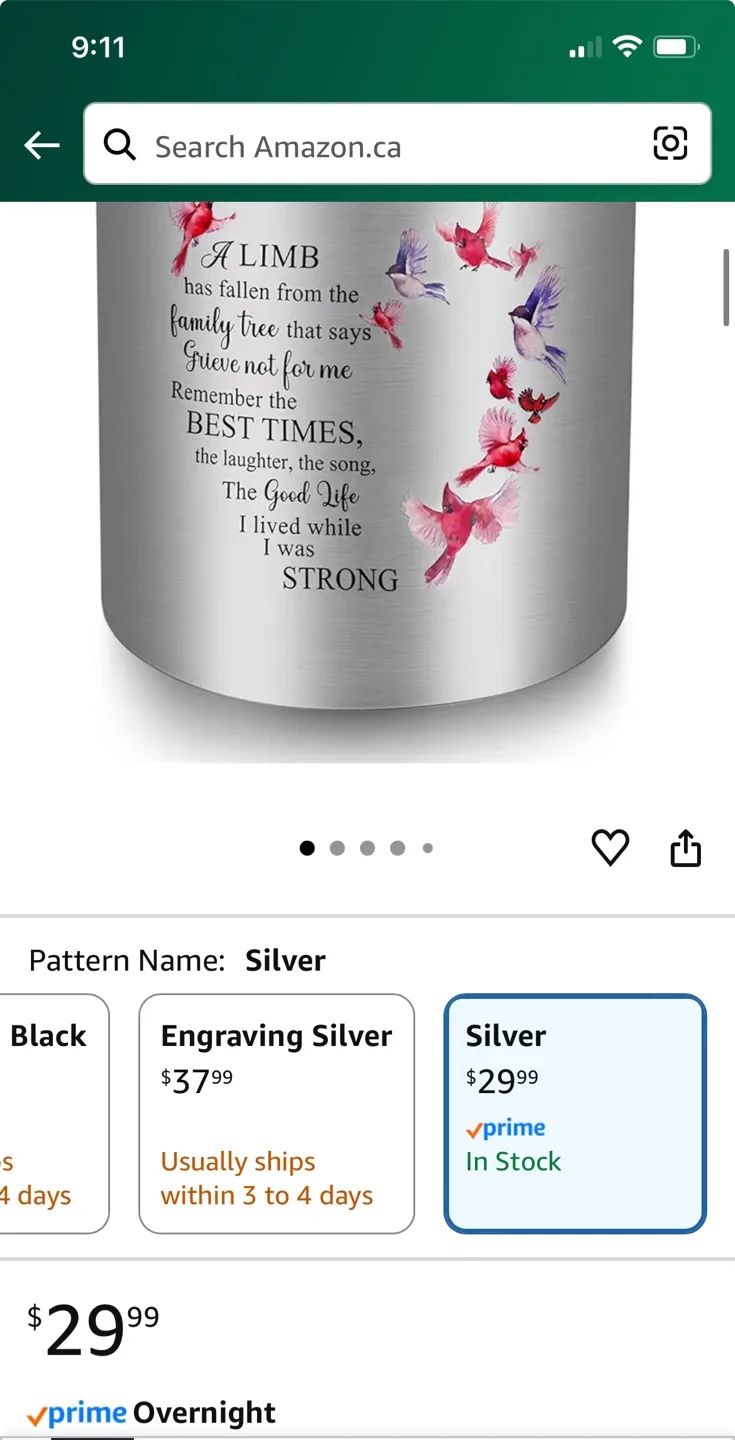 SOITIS Decorative Urn for Human Ashes - Silver image indicator(2)