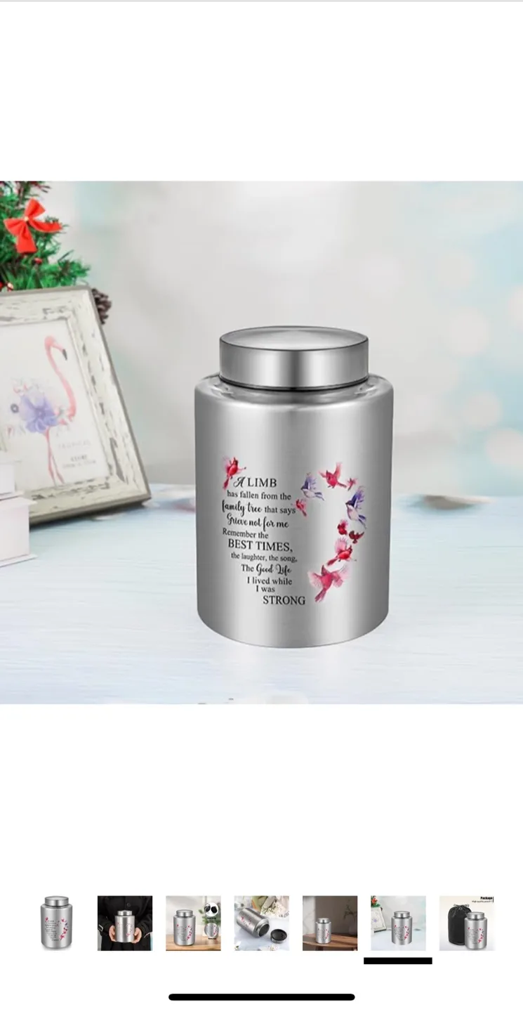 SOITIS Decorative Urn for Human Ashes - Silver image indicator(7)