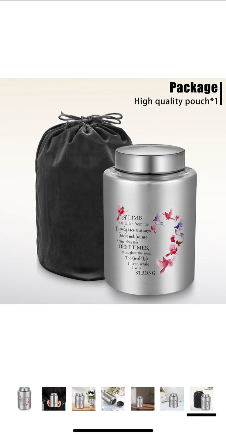 SOITIS Decorative Urn for Human Ashes - Silver image indicator(8)