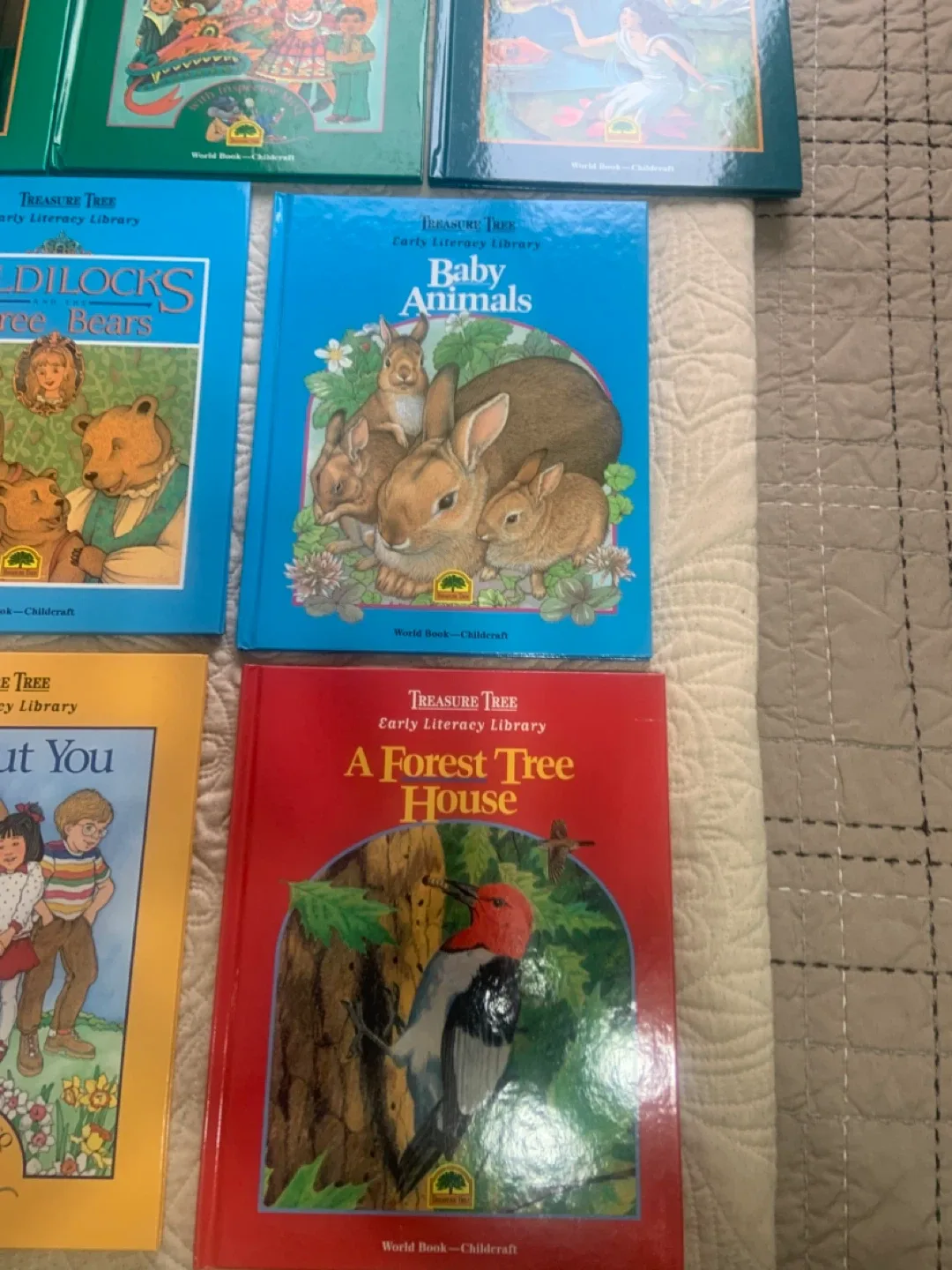 Treasure Tree Early Literacy Library Books image indicator(3)