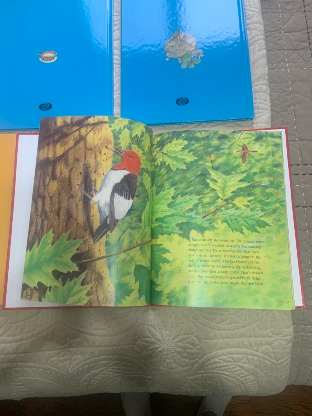 Treasure Tree Early Literacy Library Books image indicator(9)