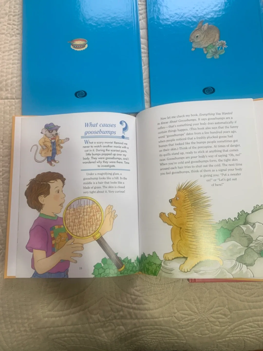 Treasure Tree Early Literacy Library Books image indicator(10)