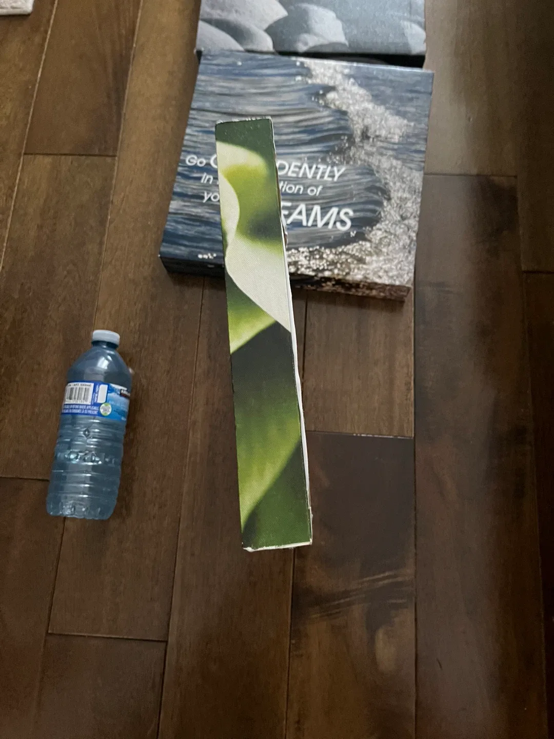 Set of 3 Canvas Wall Art Prints 11X11 inches image indicator(6)