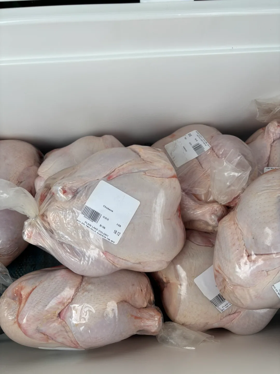 🐔 Fresh Farm Chicken Delivery