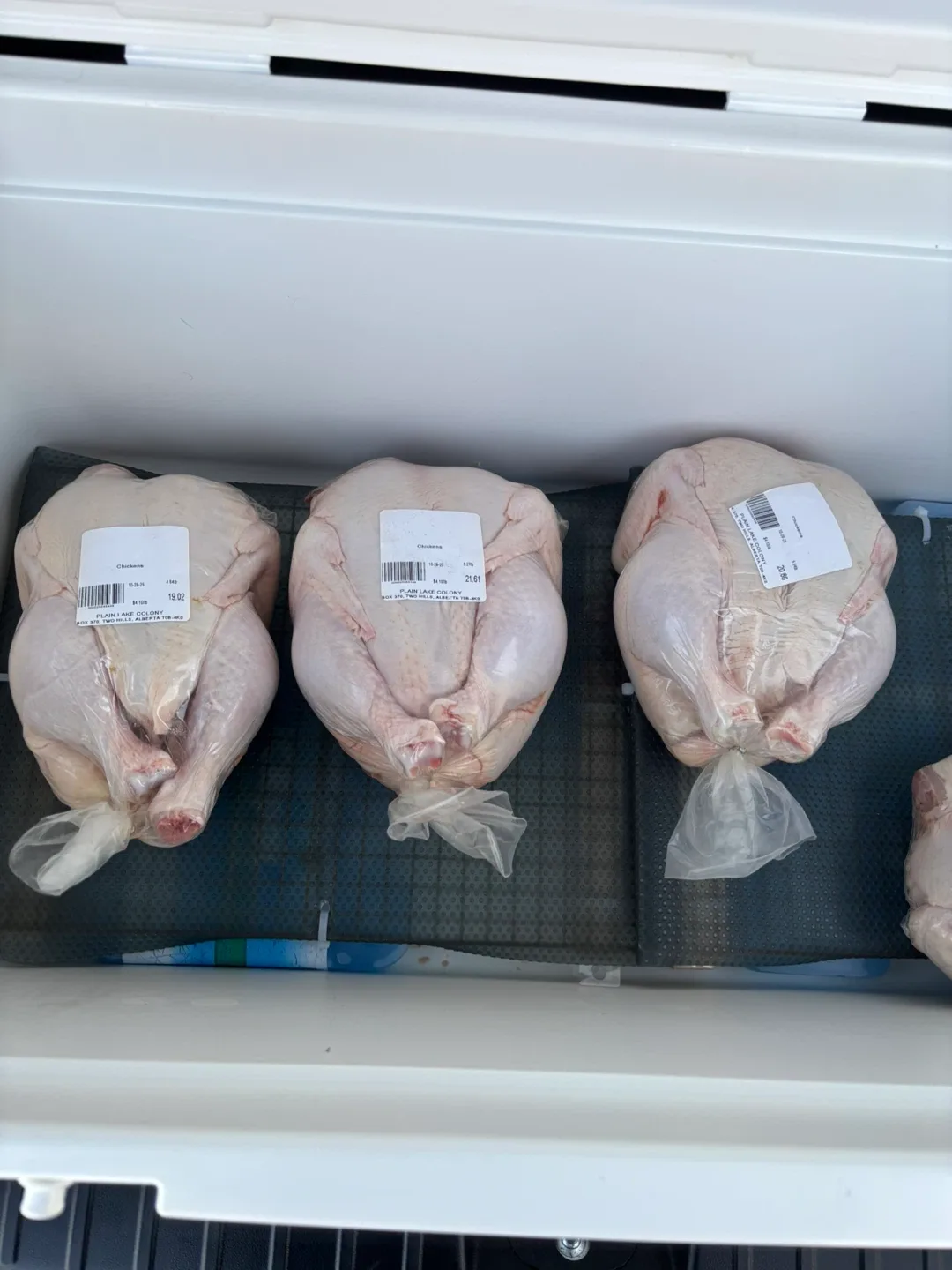 🐔 Fresh Farm Chicken Delivery image indicator(2)