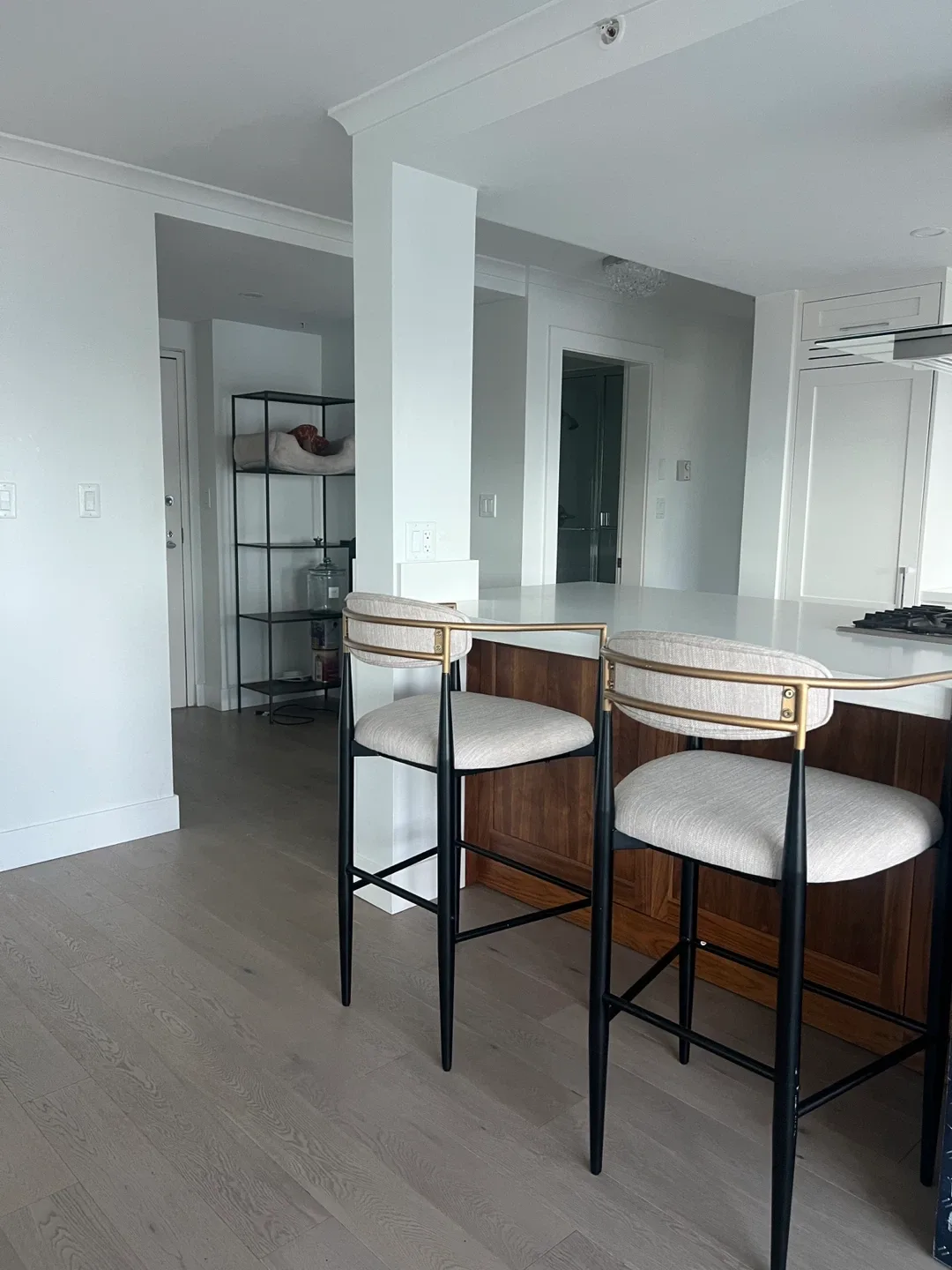 Stylish Bar Stool with Gold Accents