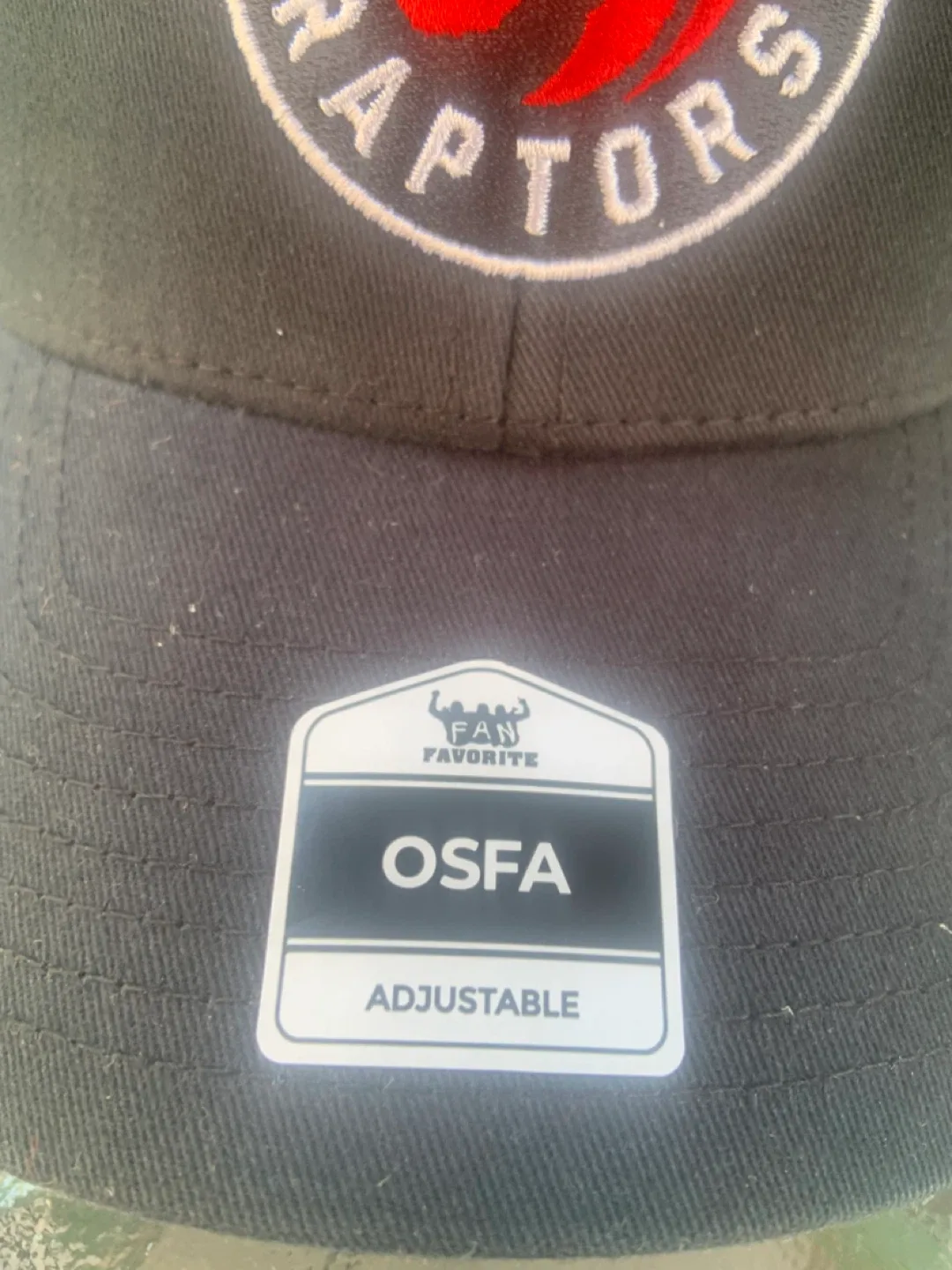 Toronto Raptors Fan Favorite OSFA Adjustable Hat image indicator(2)