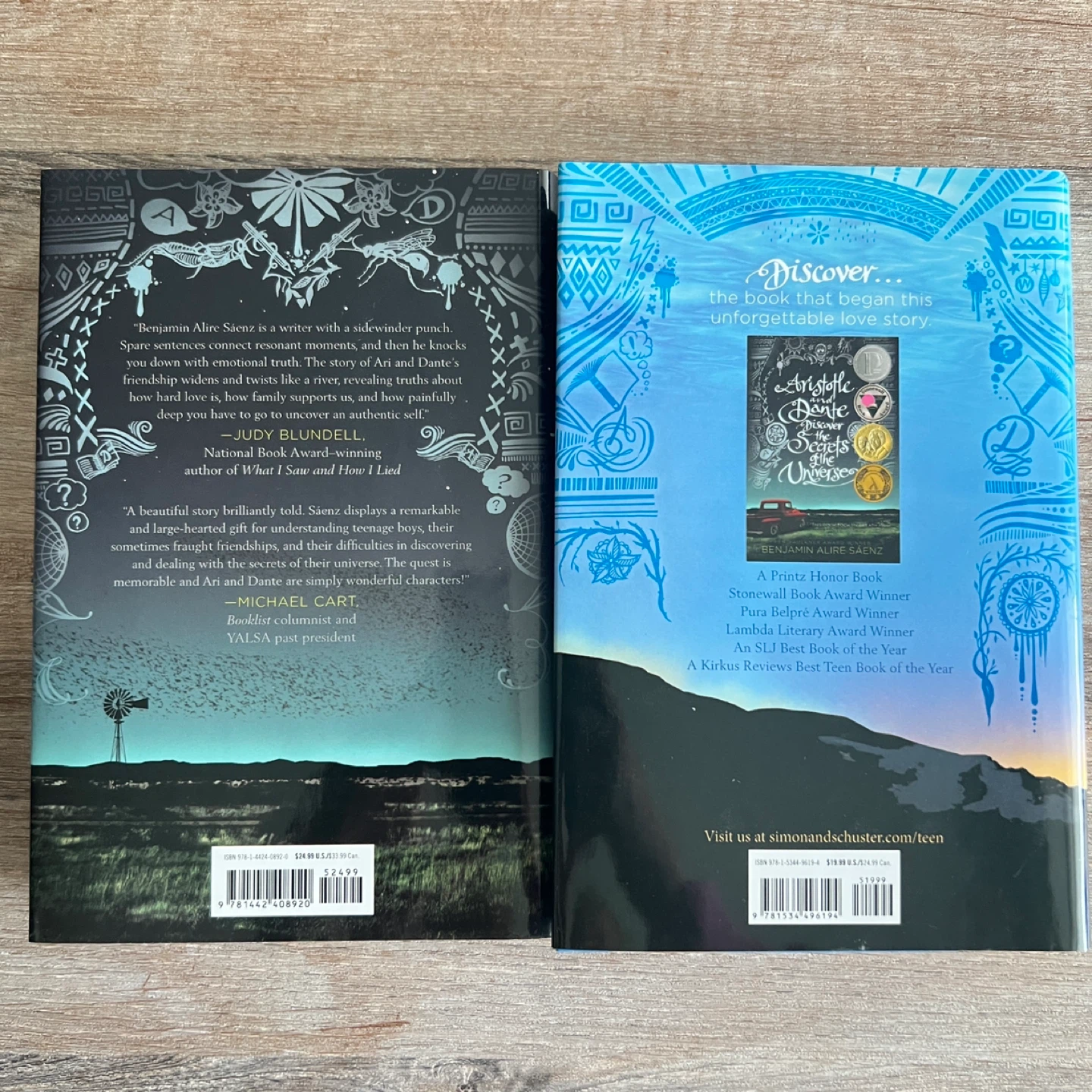 Aristotle and Dante Discover the Secrets of the Universe 1&2 - photo 2