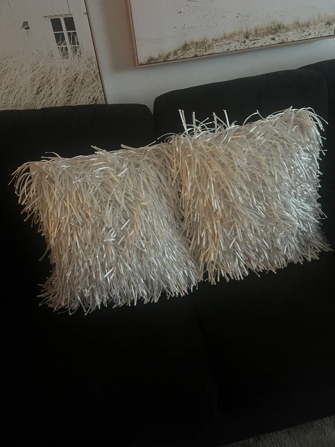 White Decorative Throw Pillows