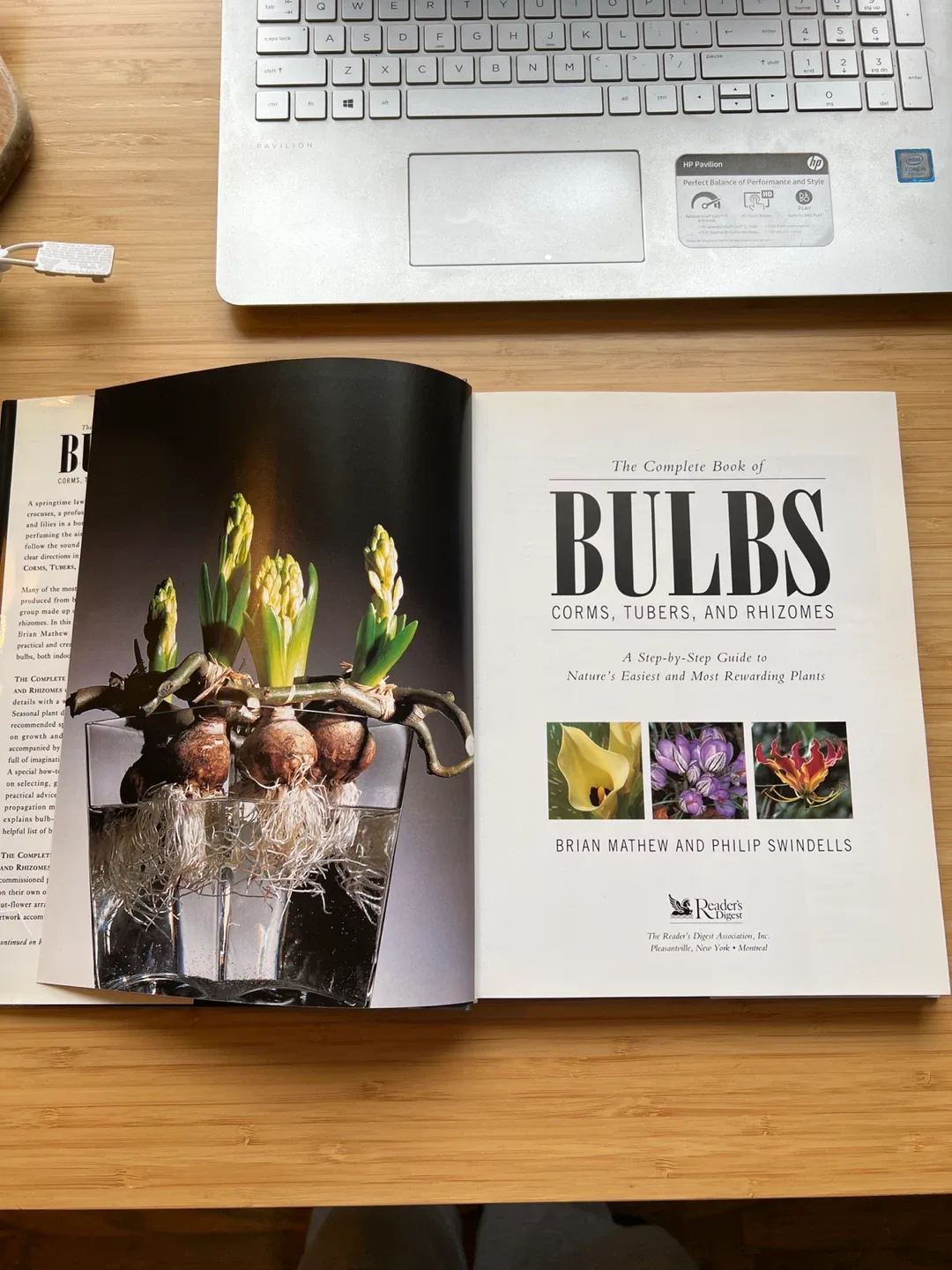 The Complete Book of Bulbs image indicator(3)