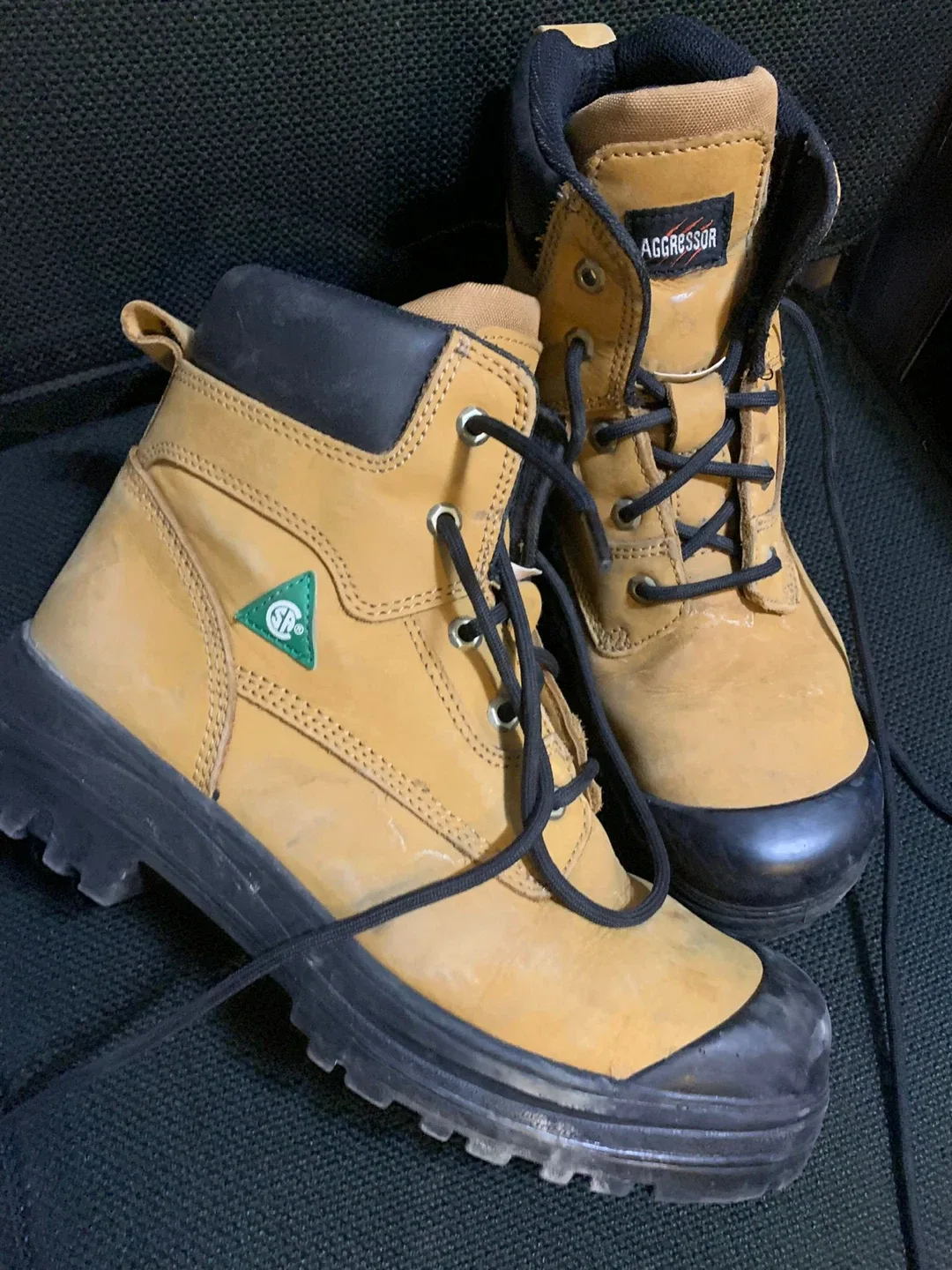 Safety Shoes image indicator(4)