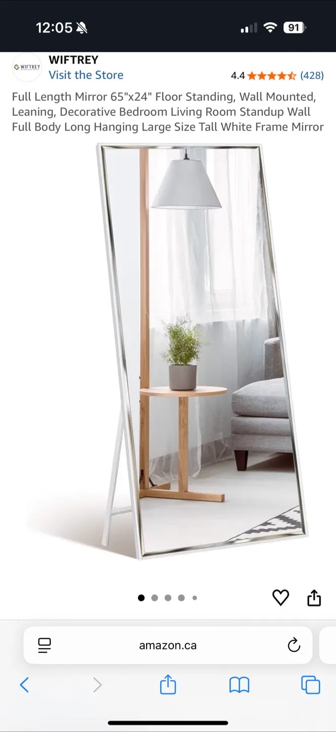 Wiftrey Full Length Mirror 65"x24" image indicator(2)