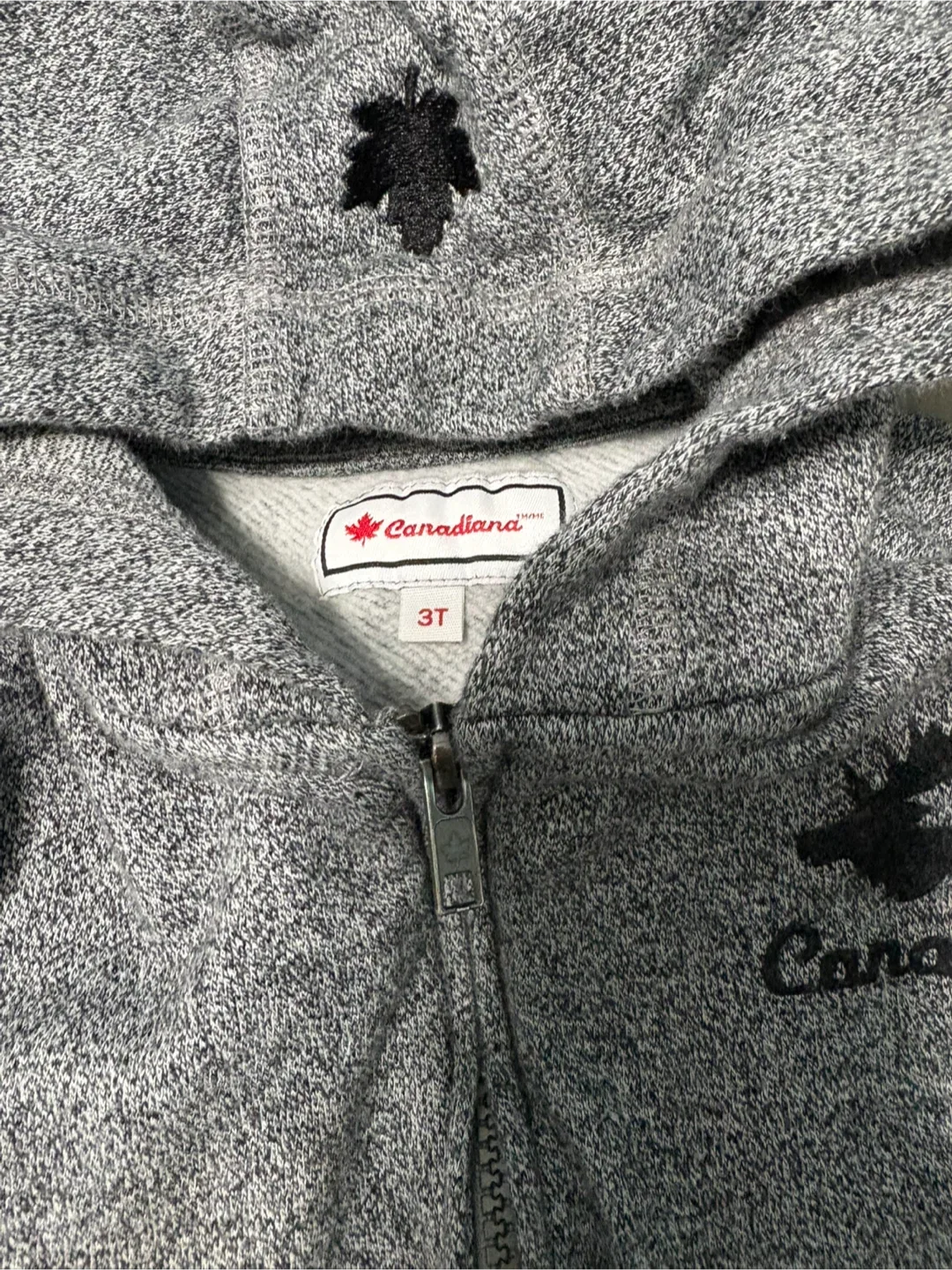 Canadiana Kids 3T Gray Hoodie image indicator(2)