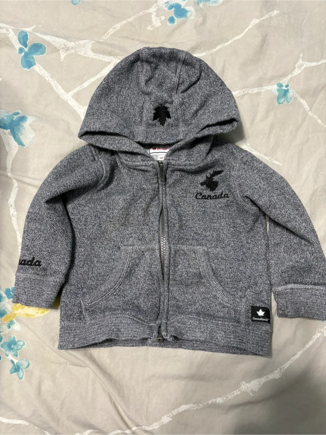Canadiana Kids 3T Gray Hoodie image indicator(4)