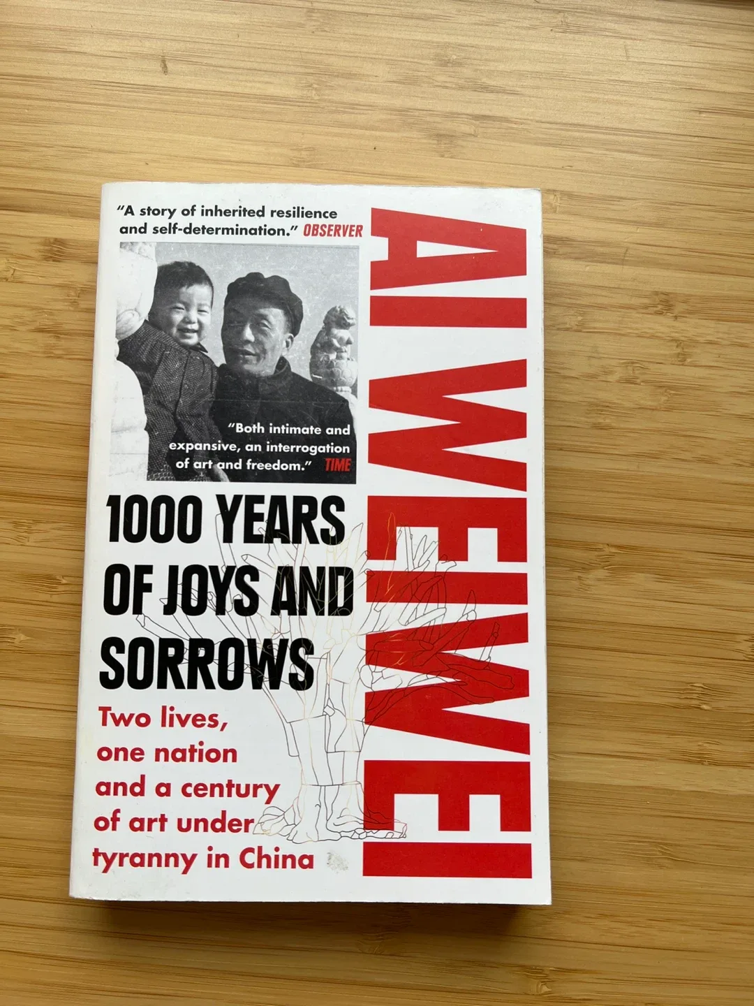 1000 Years of Joys and Sorrows by Ai Weiwei