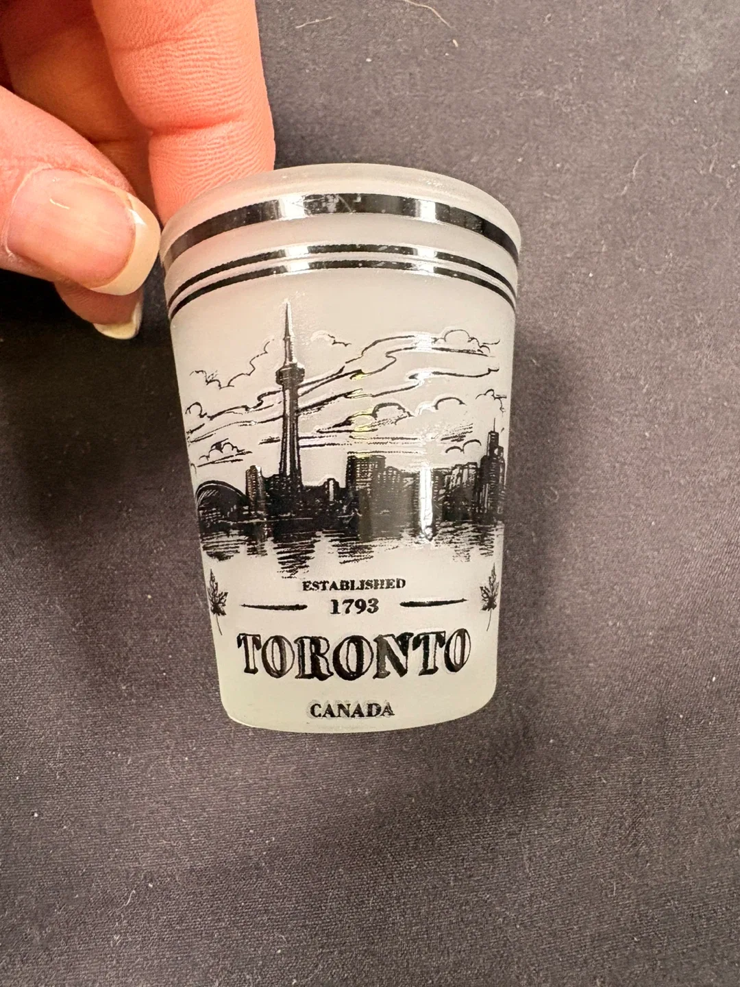 #cleanout Toronto Canada Shot Glass image indicator(4)