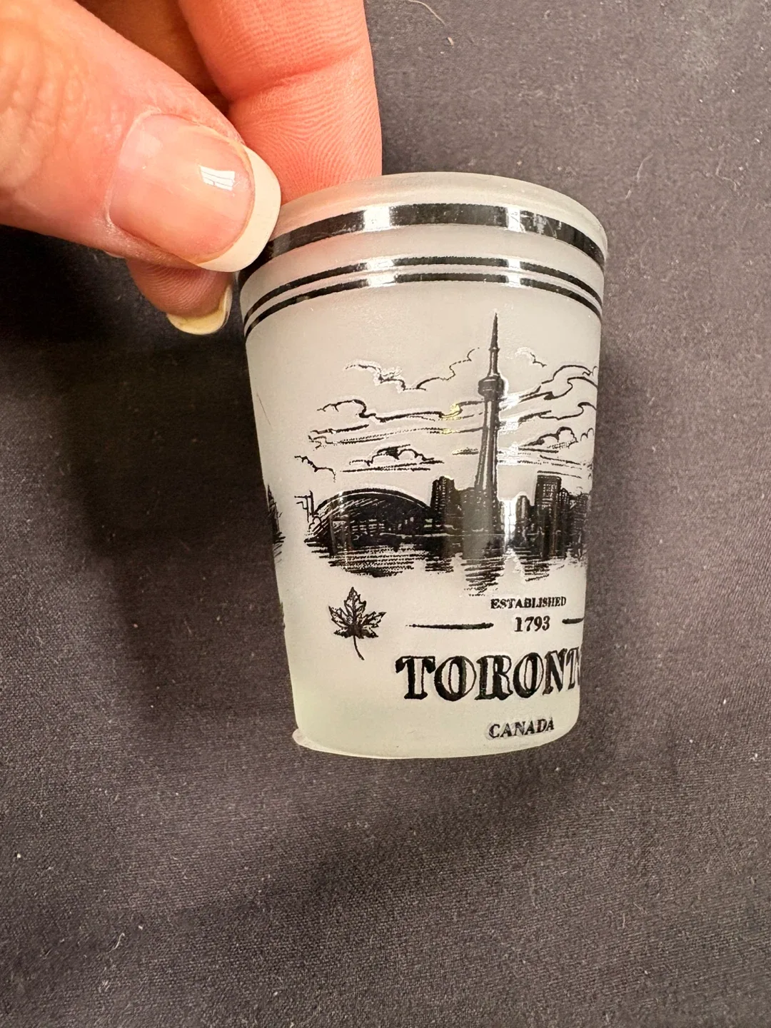 #cleanout Toronto Canada Shot Glass image indicator(3)