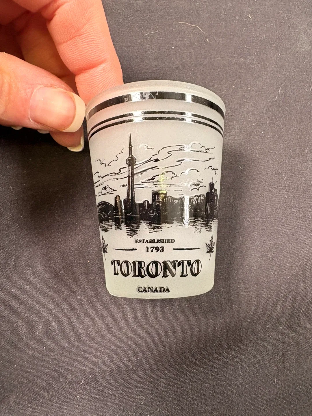 #cleanout Toronto Canada Shot Glass image indicator(2)