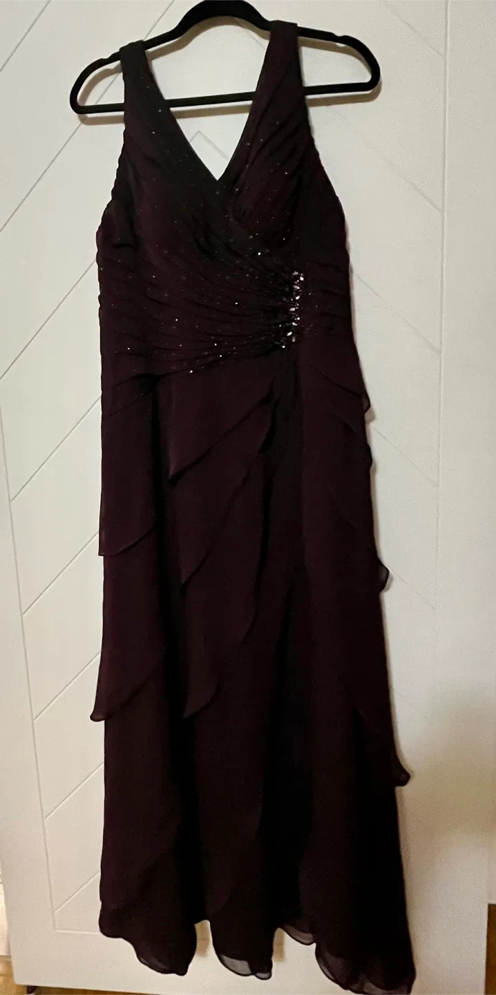 Beautiful Formal Dress with Shawl Size 8-10 image indicator(8)