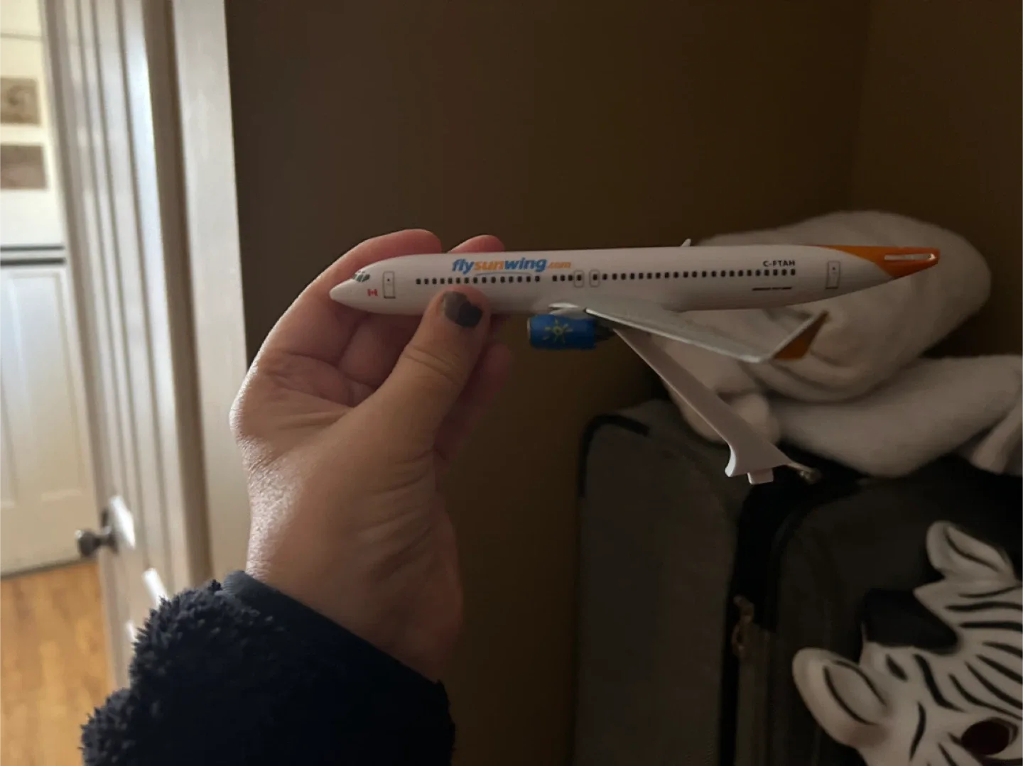 Sunwing Airplane Model image indicator(2)