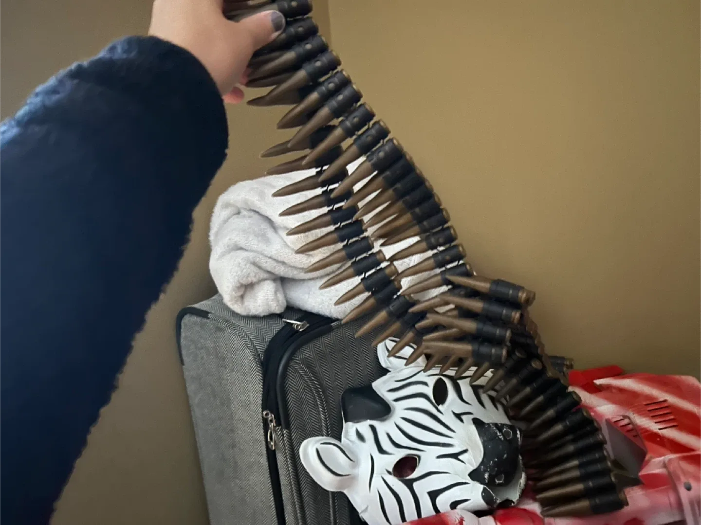 Zebra Mask image indicator(3)