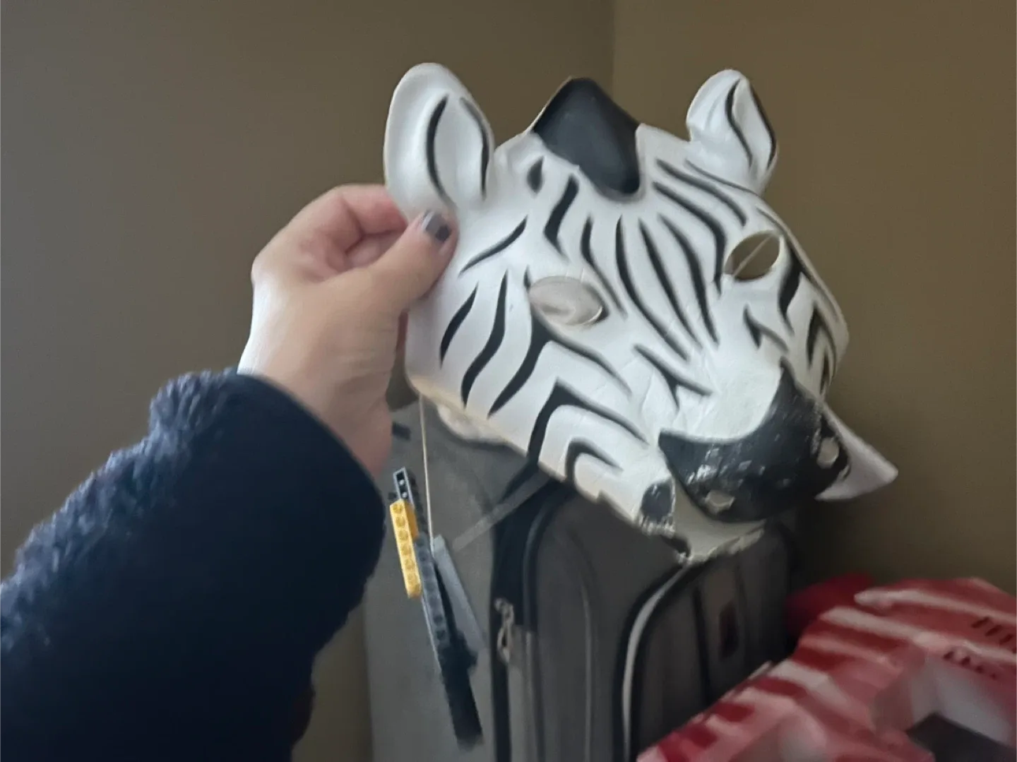 Zebra Mask
