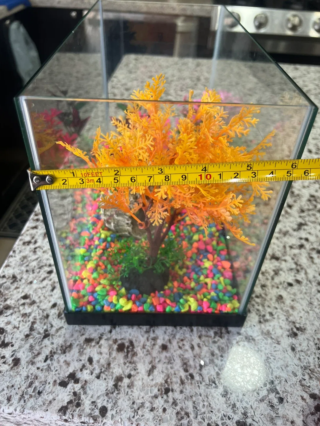 Fish Tank with Decorations image indicator(2)