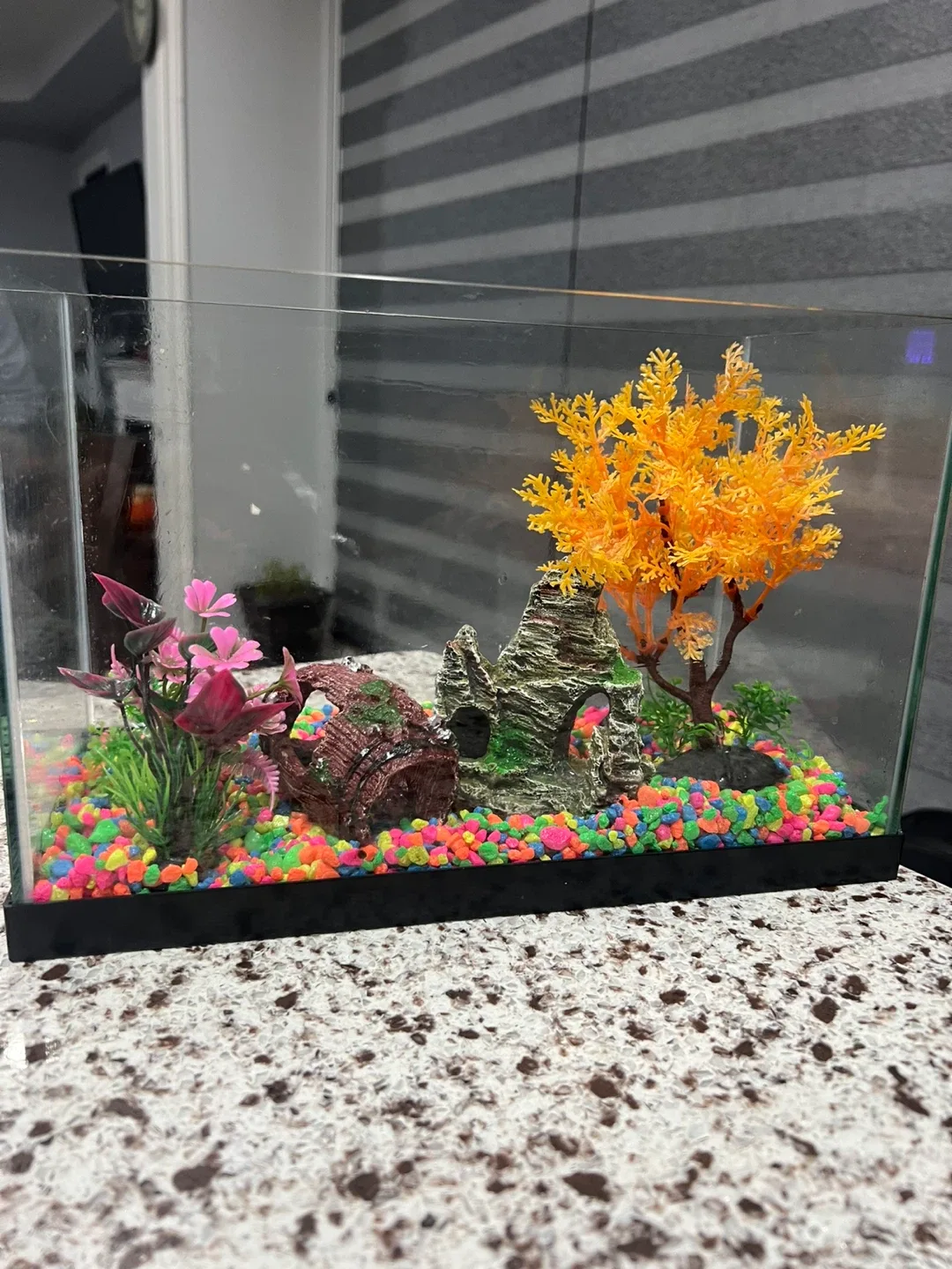 Fish Tank with Decorations