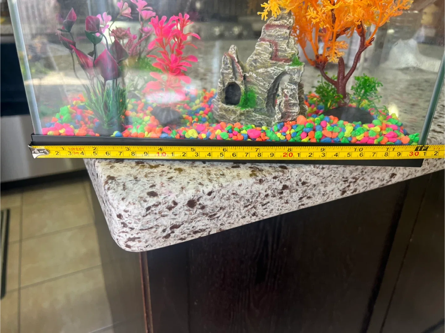 Fish Tank with Decorations image indicator(4)
