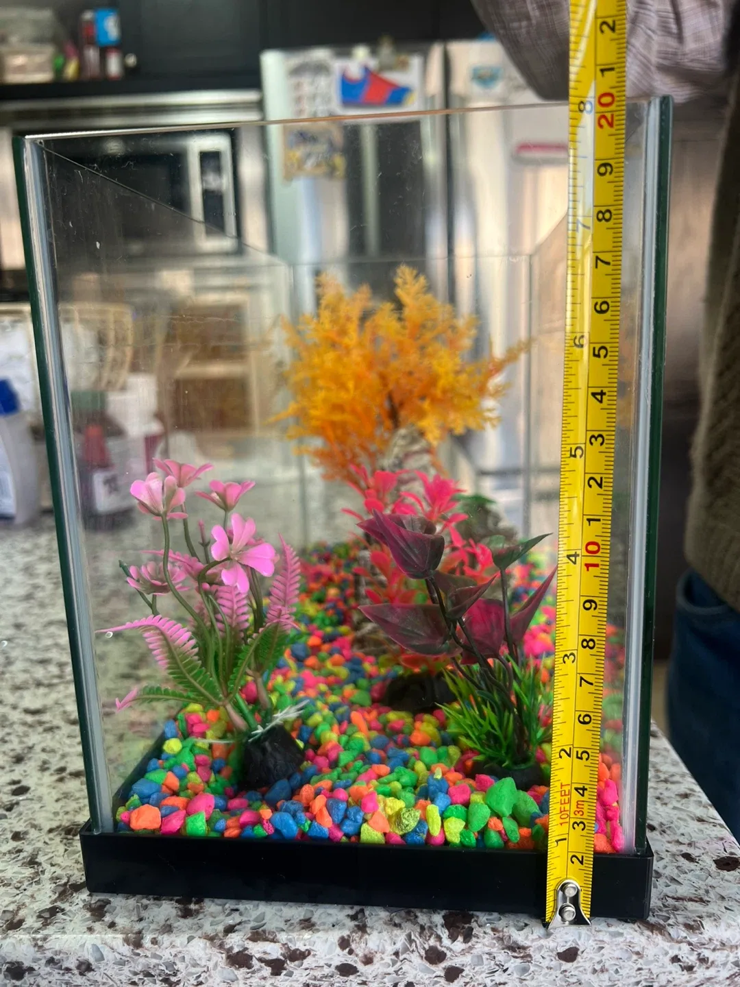 Fish Tank with Decorations image indicator(3)