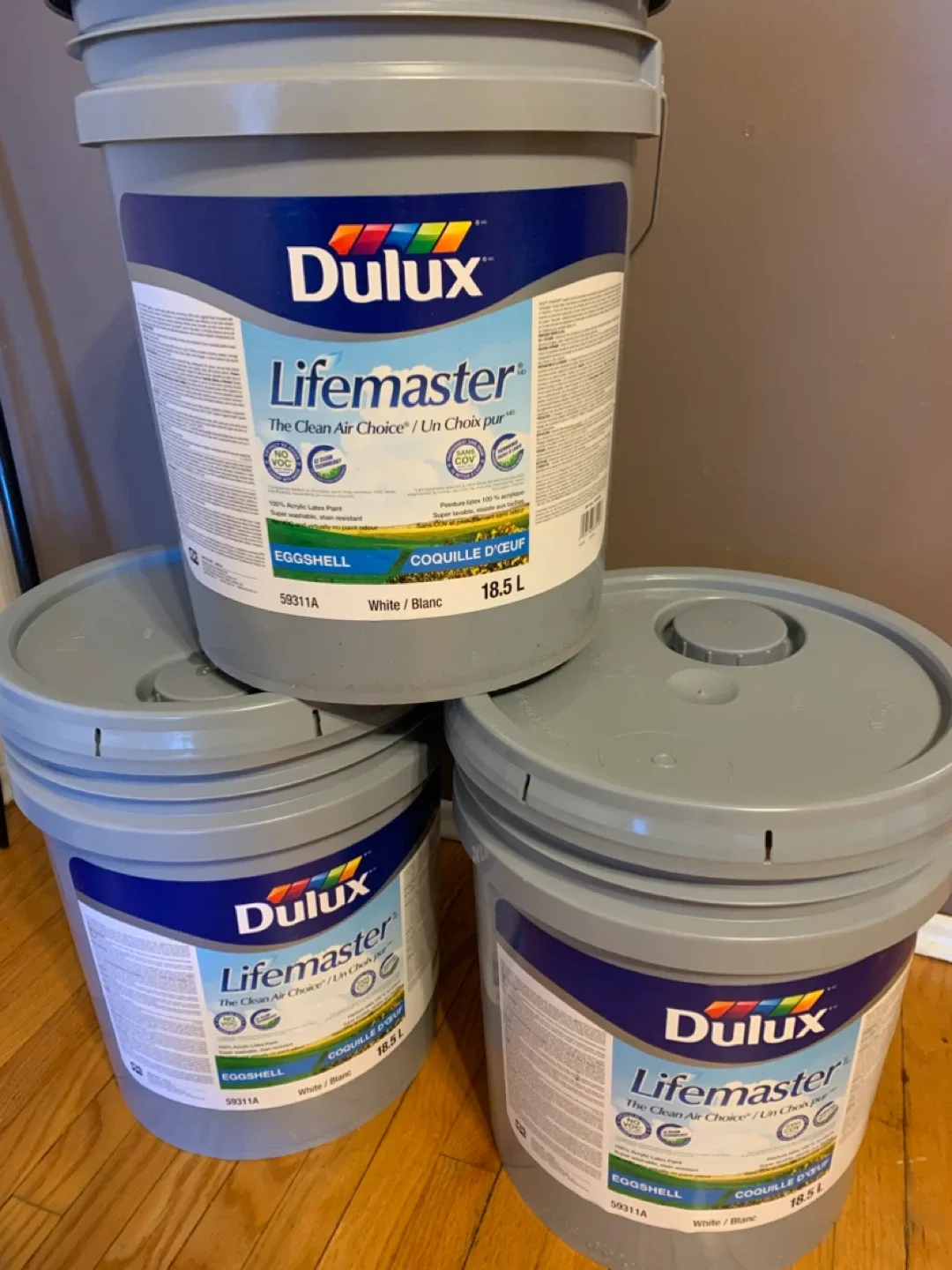 Interior Paint Brand New