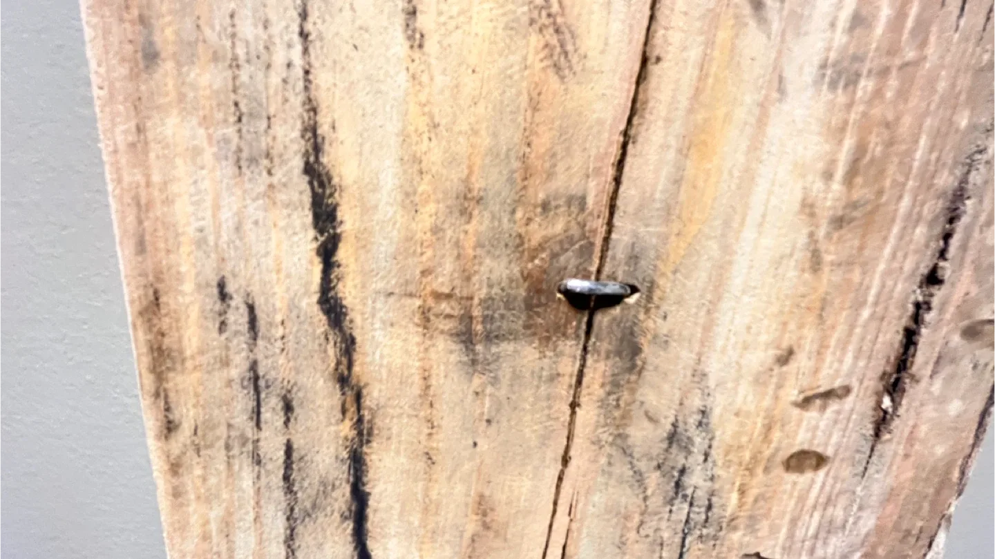 Handmade Wooden Display Boards - Set of 2