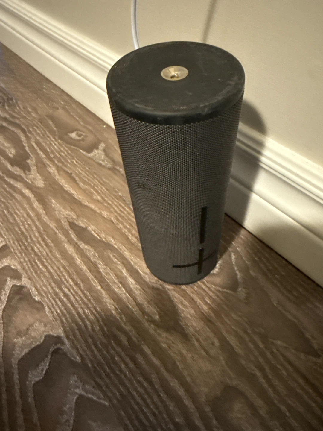 Ultimate Ears Bluetooth Speaker
