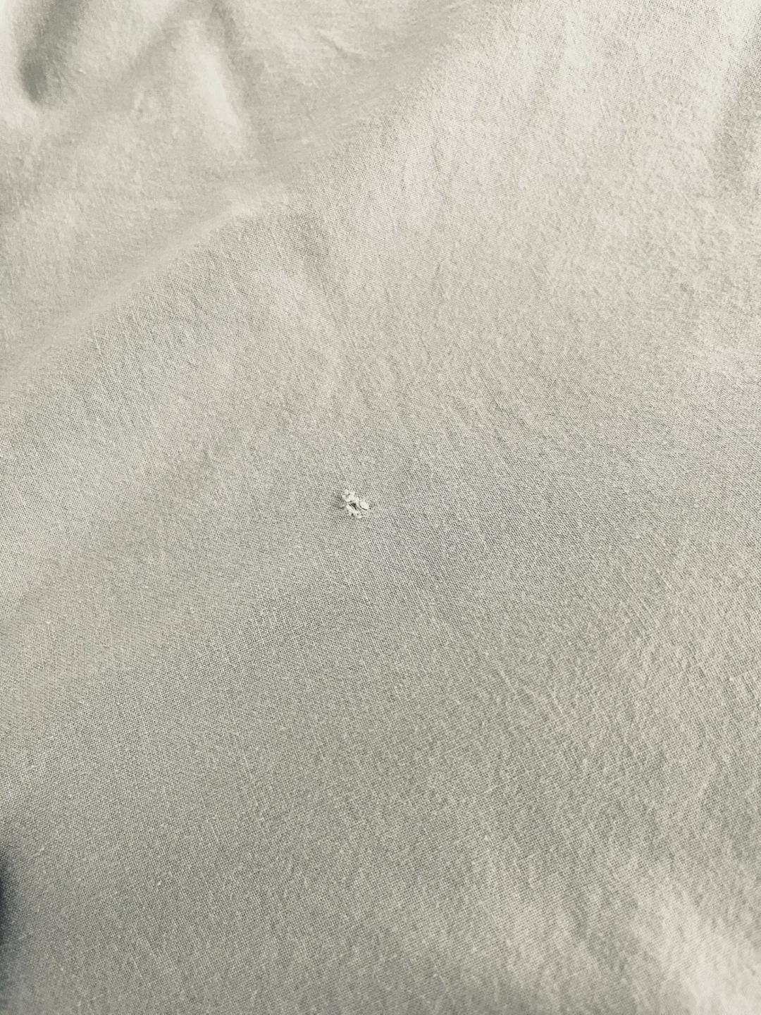 Duvet cover+pillowcase, ÄNGSLILJA image indicator(3)